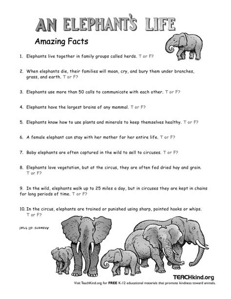 Elementary Elephant 8211 Page 3 8211 8230 From Perimeter Of A House Worksheet - Perimeter Of A House Worksheet