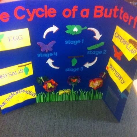 Elementary School Science Projects Butterfly Theme Science Themes For Elementary - Science Themes For Elementary