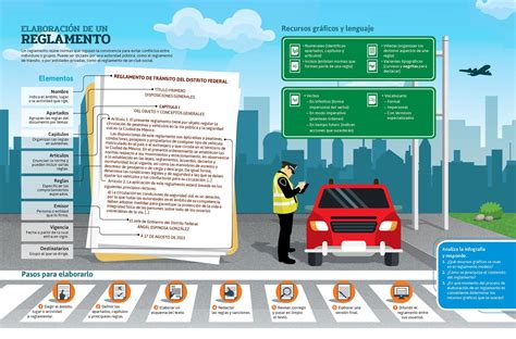 Elementos De Un Reglamento
