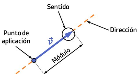 Elementos De Un Vector