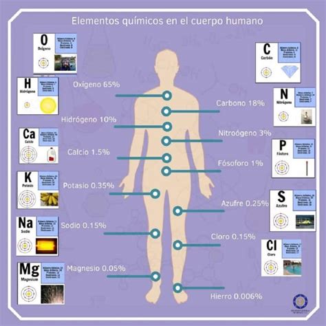 Elementos Que Intervienen En El Proceso De Adquisición Del Conocimiento