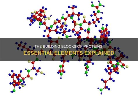 Elements In Proteins