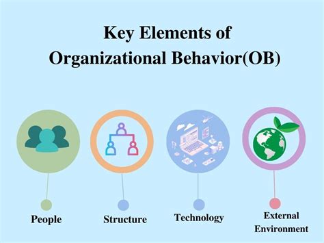 Elements Of Organizational Behaviour