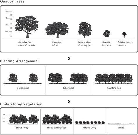 Elements Of Planting Design
