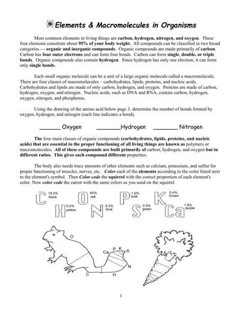 Full Download Elements Macromolecules In Organisms Packet Answer 