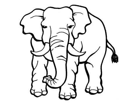 Elephant Coloring Pages Coloring Nation Colouring Picture Of Elephant - Colouring Picture Of Elephant