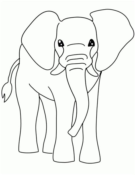 Elephant Coloring Pages Pdf 8211 Coloringfile Elephant Pictures To Color - Elephant Pictures To Color