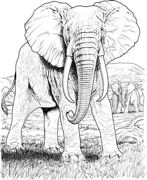 Elephant Coloring To Download For Free Elephants Coloring Colouring Picture Of Elephant - Colouring Picture Of Elephant