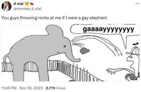 elephant gay rocks
