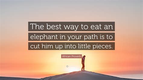 Elephant Proverb For Perspective