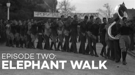 Elephant Walk Frats