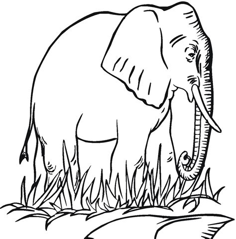 Elephants Free Printable Coloring Pages For Kids Just Elephant Picture To Color - Elephant Picture To Color