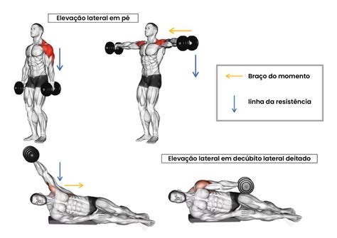 Elevacao Lateral Com Halteres