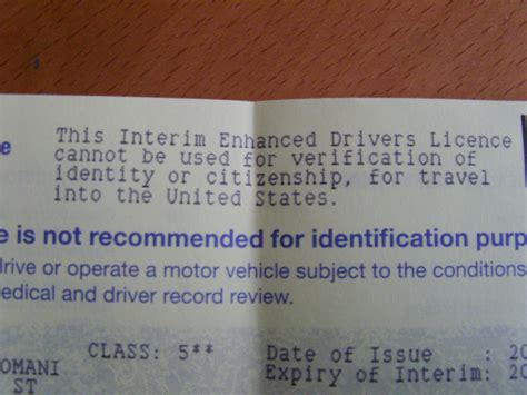 Elfqrin Driver License