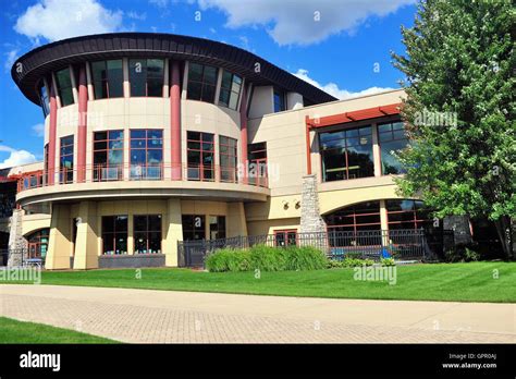 elgin illinois library