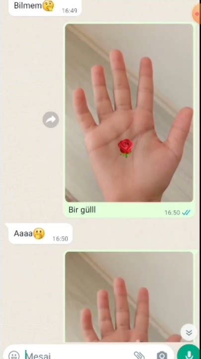 elimde gül #imoveis #imovie ️‍ #imi #  TikTok.