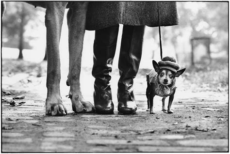 Elliott Erwitt