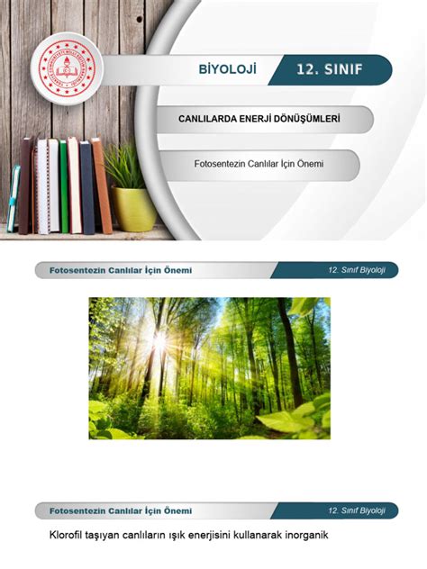 elnfbsclpfa PDF Scribd.