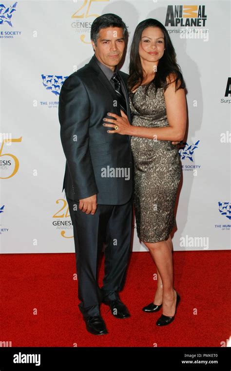 elvimar silva biography sampler