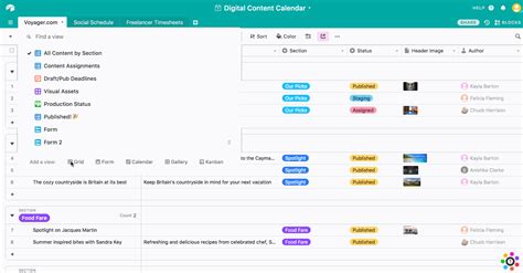 Embed Airtable Into Cu Docs