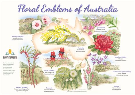 Emblems Of Australia