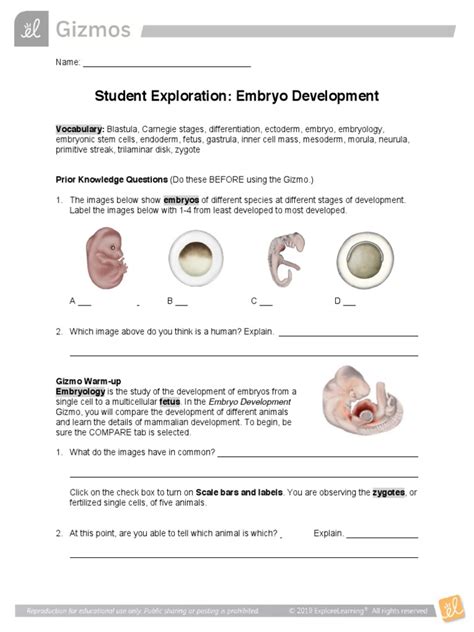 Embryo Development Gizmo