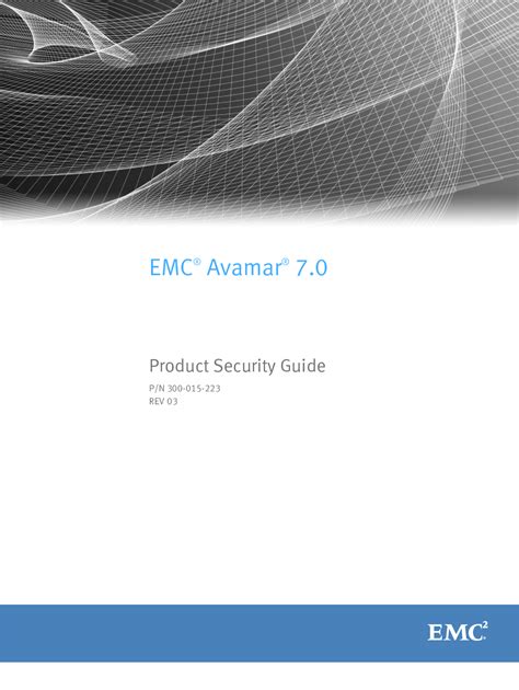 Emc Avamar Guide