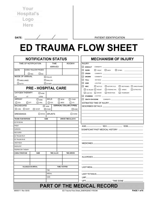 Read Online Emergency Department Trauma Flow Documentation Sheets 