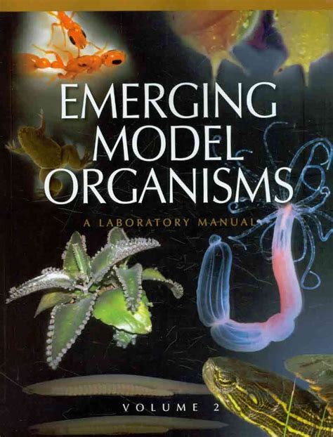 Emerging Model Organisms A Laboratory Manual Volume 2