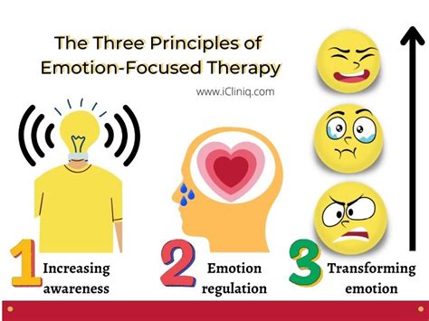 Emotion Focused Therapy Techniques