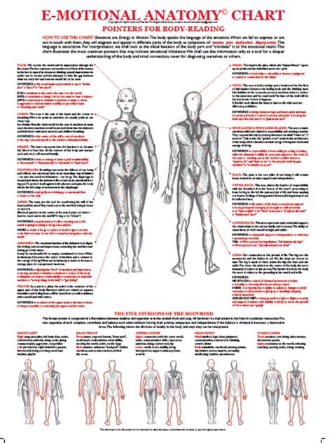 Emotional Anatomy