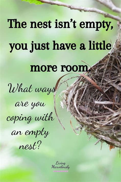 empty nest