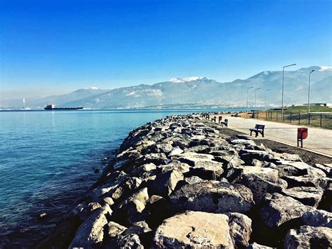 veodersti.rgarabwor.edu.pl. 