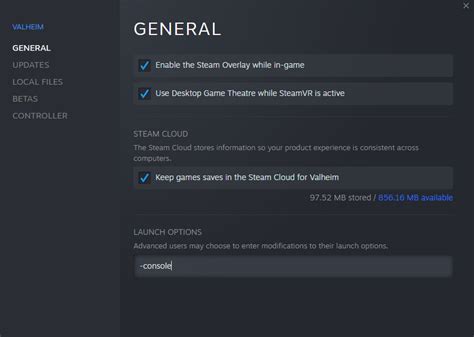 Enable Console Steam