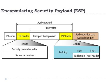 Encapsulating Security Payload
