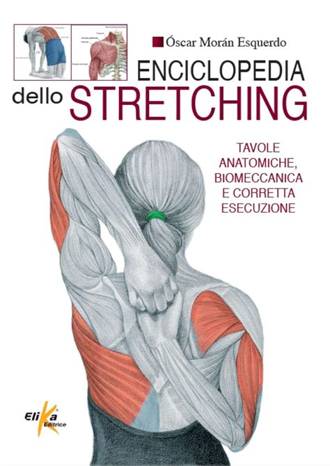enciclopedia dello stretching