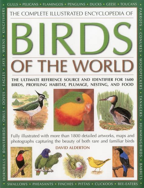 Encyclopedia Of Birds