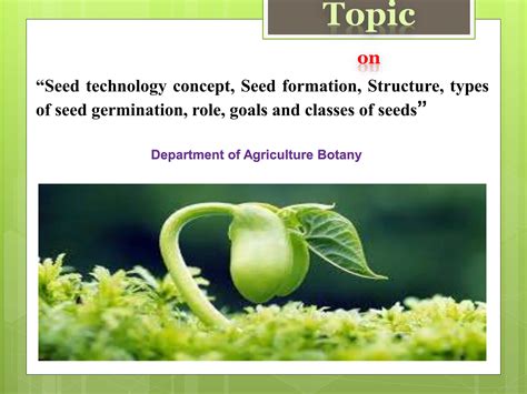 Encyclopedia Of Seed Technology 5 Vols
