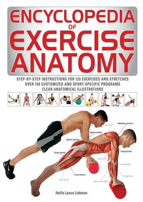 Read Online Encyclopedia Of Exercise Anatomy Anatomy Of 