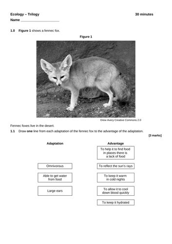 End Of Unit Test Ecology Matters