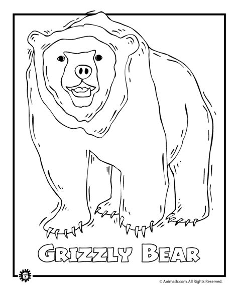 Endangered Animal Coloring Pages Animal Jr Endangered Animals Coloring Pages - Endangered Animals Coloring Pages