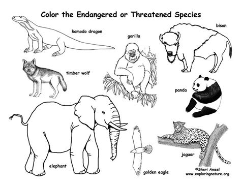 Endangered Animals Coloring Pages   Endangered Animals Coloring Pages Free Printable Pictures - Endangered Animals Coloring Pages