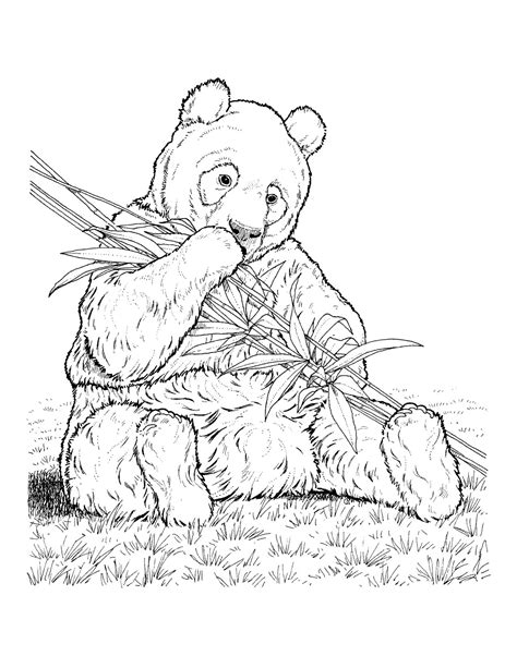 Endangered Animals Coloring Pages Getcolorings Com Endangered Animals Coloring Pages - Endangered Animals Coloring Pages