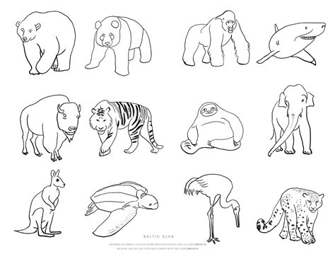 Endangered Animals Colouring Sheet Baltic Club Endangered Animals Coloring Pages - Endangered Animals Coloring Pages