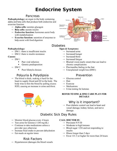 Endocrine Pathophysiology