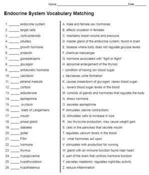 Endocrine System Blank Matching