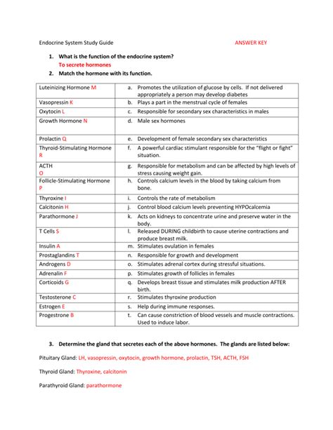 Endocrine System Study Guide Answer Key