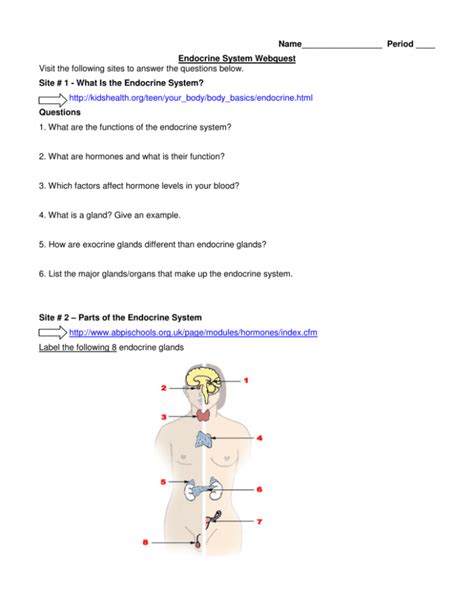 Endocrine System Webquest