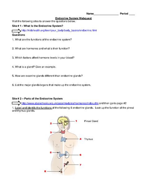 Endocrine System Webquest Answer