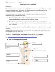 Endocrine System Webquest Key